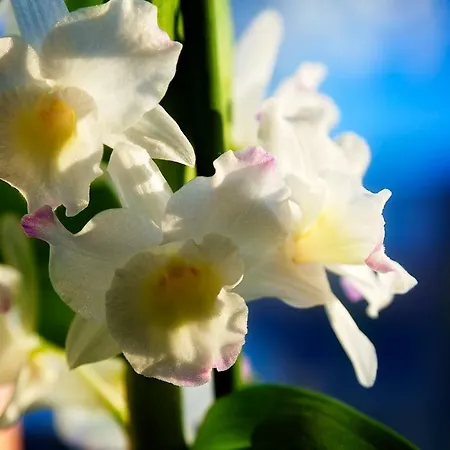 Kouvola Apartment Apartamento