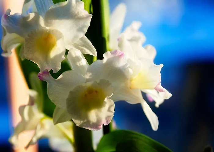 Kouvola Apartment Apartment